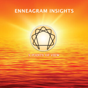 E-Insight-Box-01